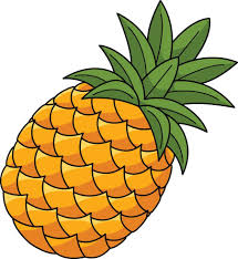 10_Ananas.jpg Ananas